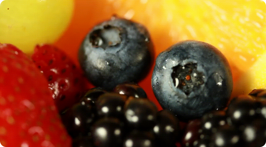 fruit photo