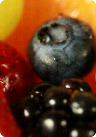 fruit photo